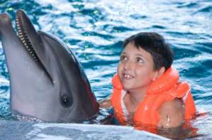 Neuen Mut gewinnen mit Delfinen, dolphin aid machts möglich (Foto: istockphoto/Pumba1)