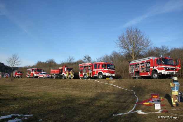 Unfall Baum 