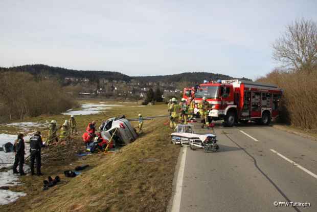 Unfall Baum 